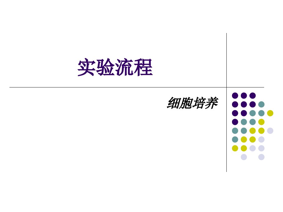 核酸提取实验流程