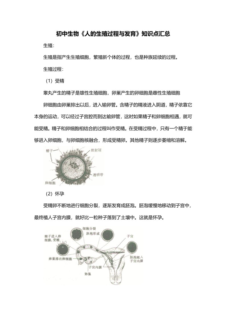 初中生物人的生殖过程与发育知识点汇总