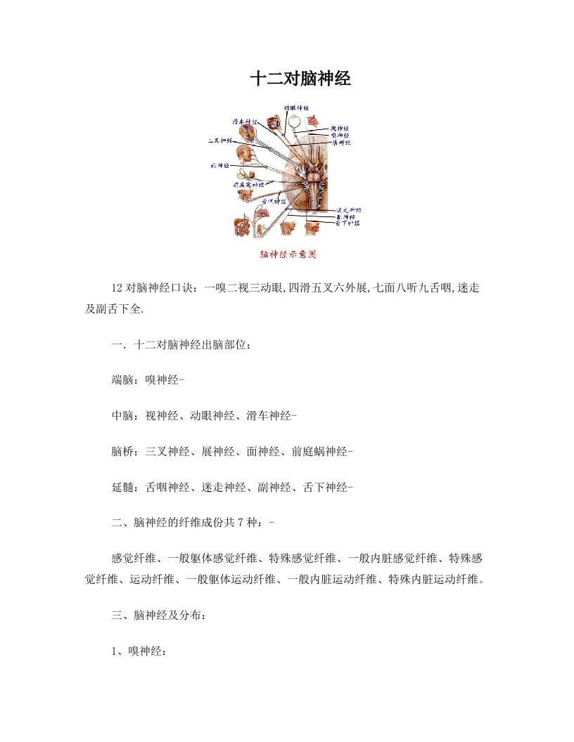 12对脑神经