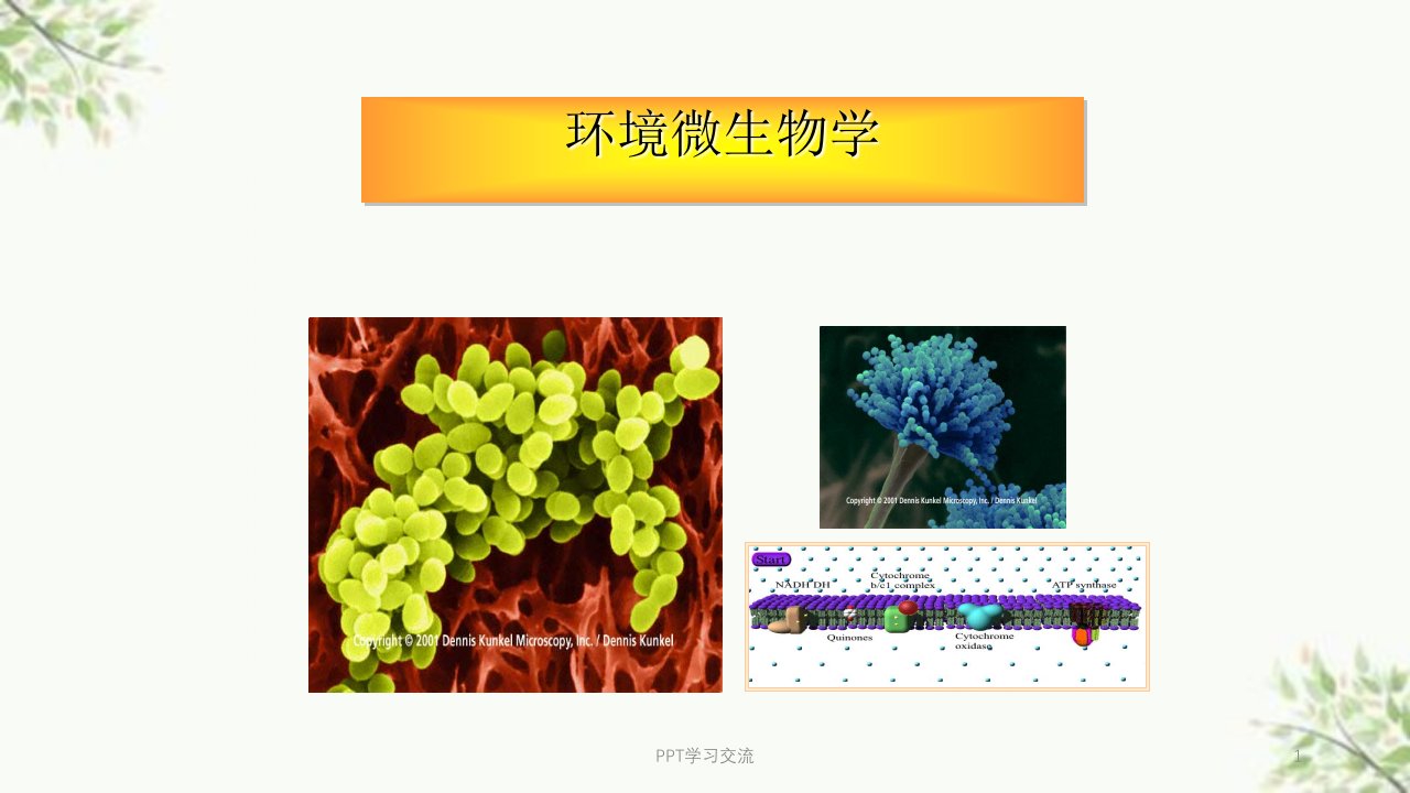 环境微生物医学ppt课件