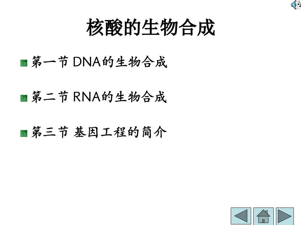 生物化学核酸的合成