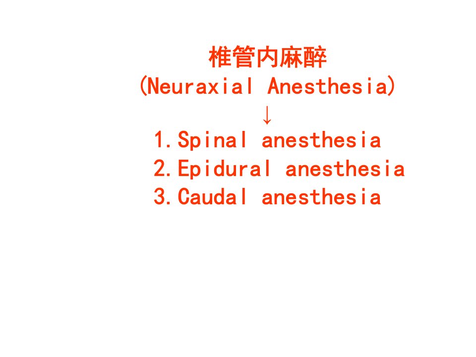 椎管内麻醉PPT课件