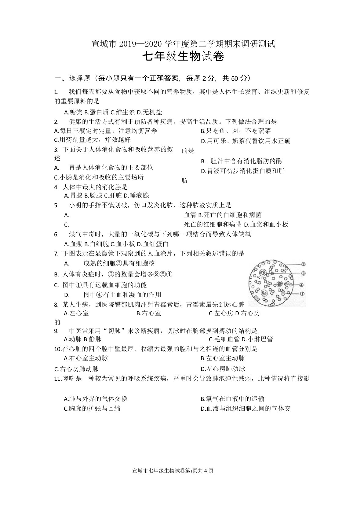 安徽省宣城市2019-2020学年度第二学期期末调研测试七年级生物学试题(Word,含答案)