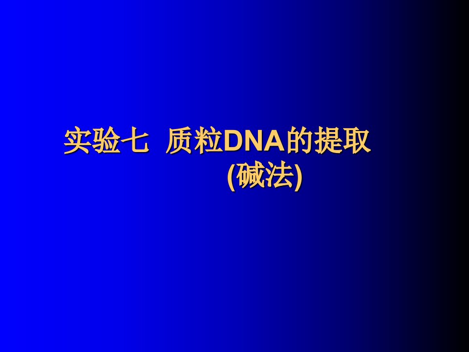 实验12-质粒DNA的提取