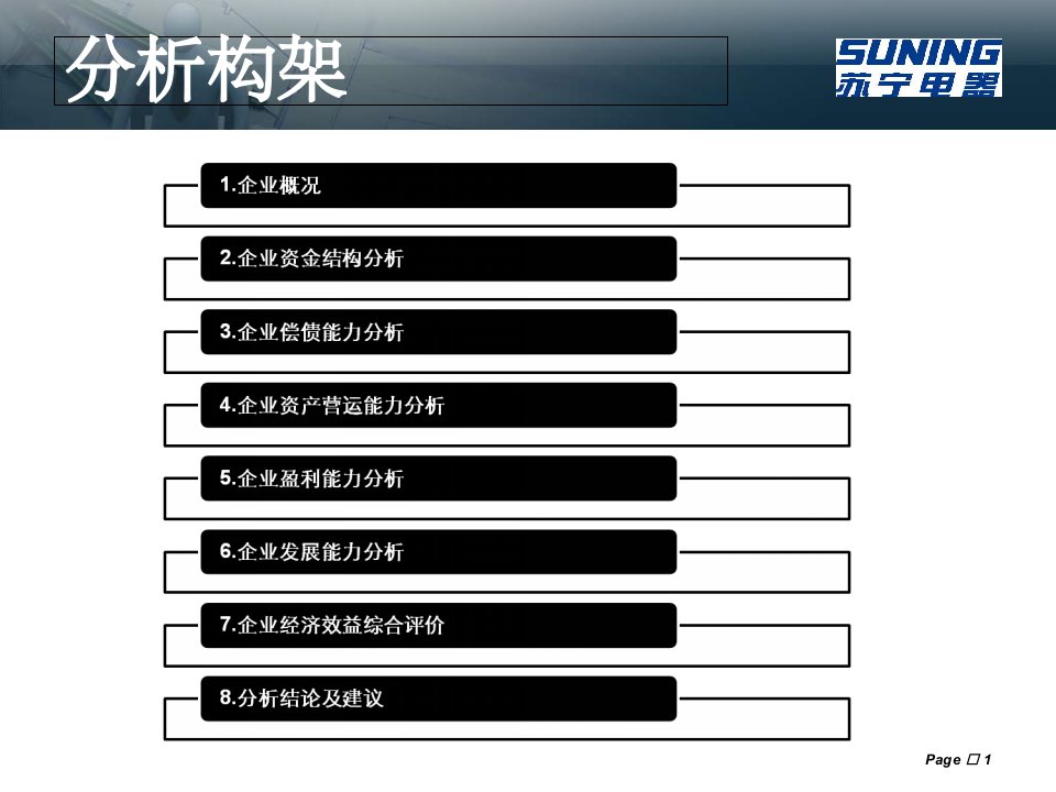 苏宁电器财务报表分析报告