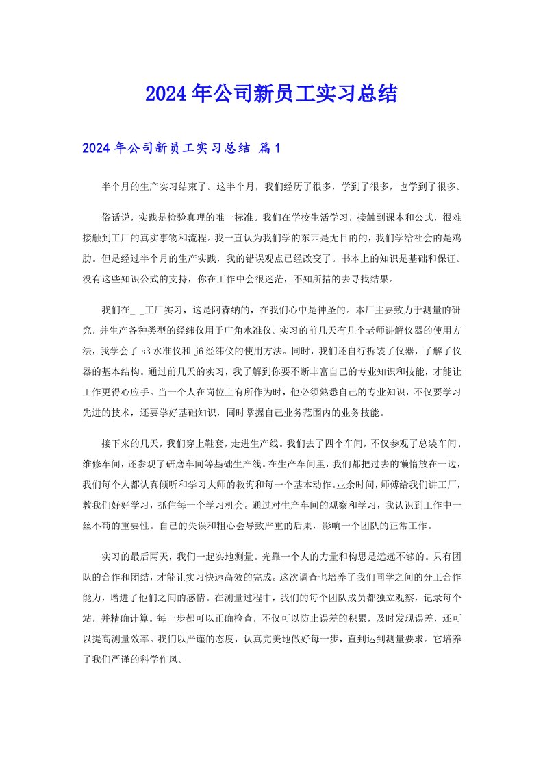 2024年公司新员工实习总结