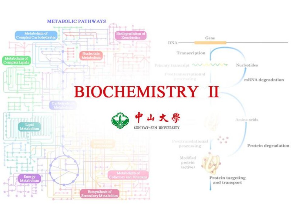 ch3糖酵解和己糖的分解