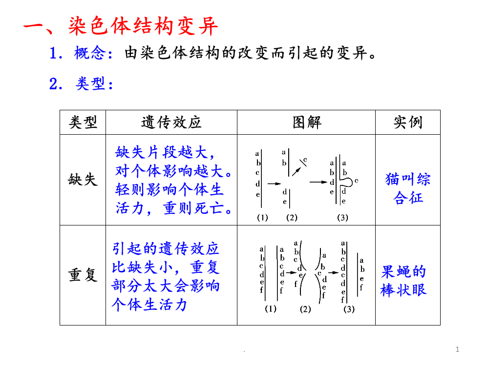 高考生物一轮复习-染色体变异人教