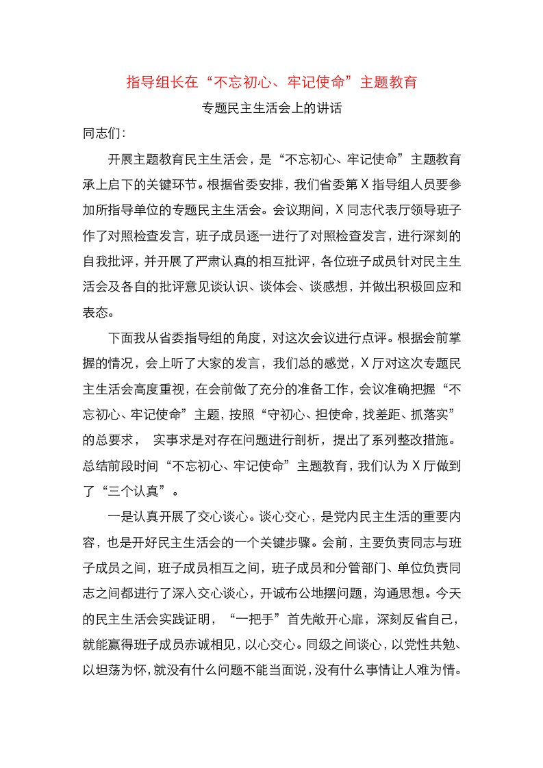 指导组长在不忘初心牢记使命主题教育专题民主生活会上的讲话