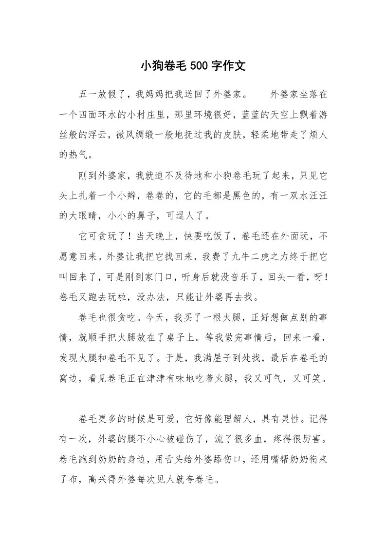 小狗卷毛500字作文