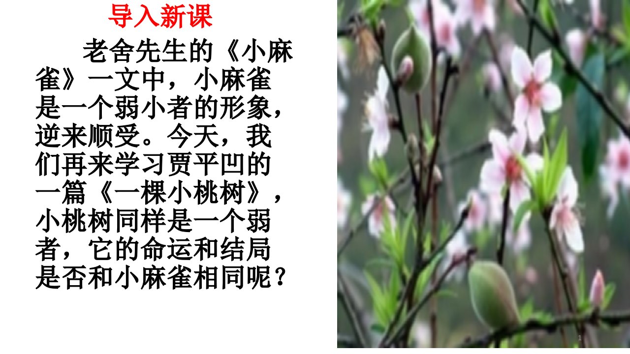 《一颗小桃树》公开课ppt课件