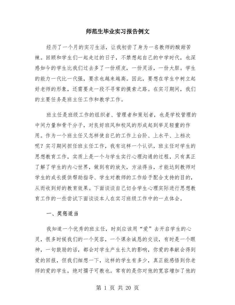 师范生毕业实习报告例文