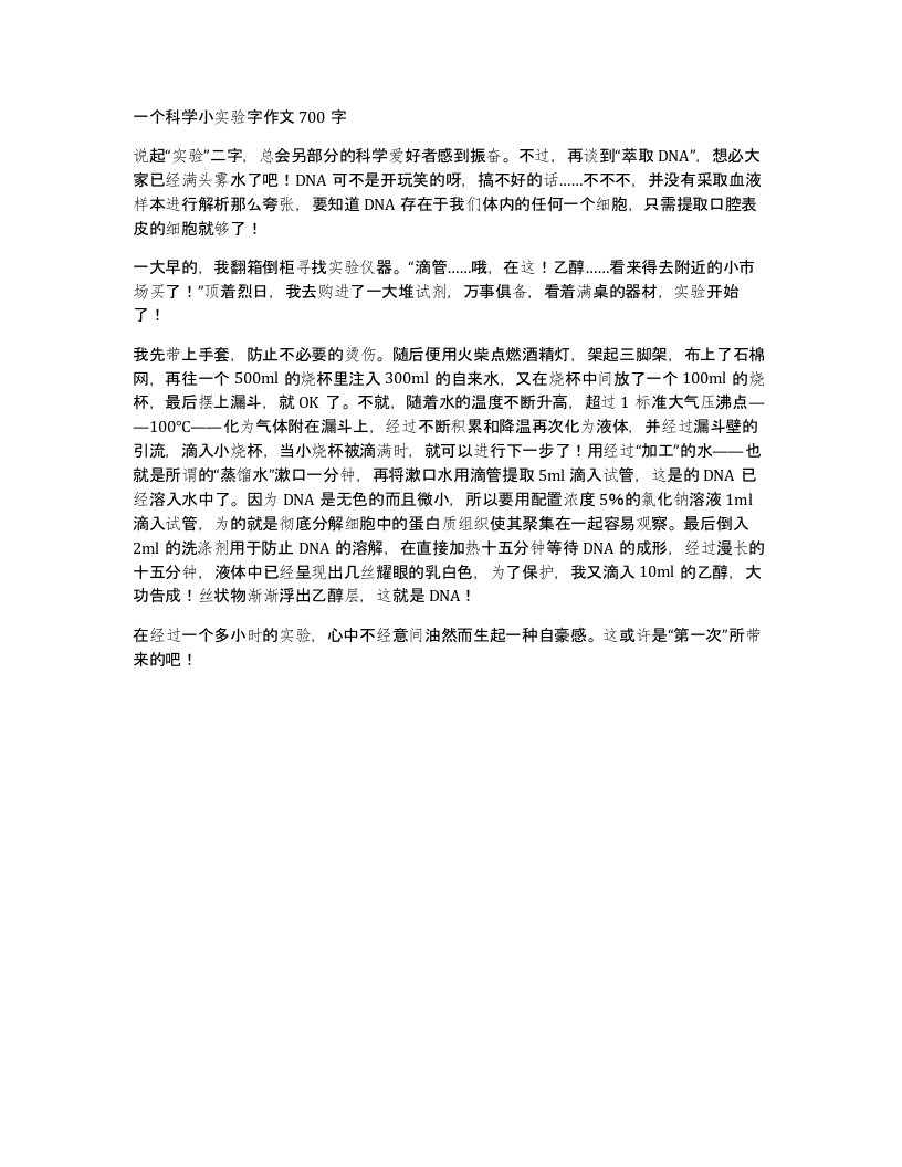 一个科学小实验字作文700字