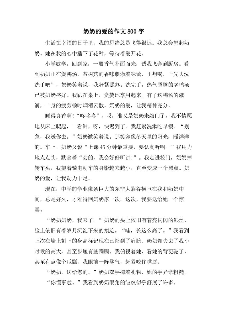 奶奶的爱的作文800字