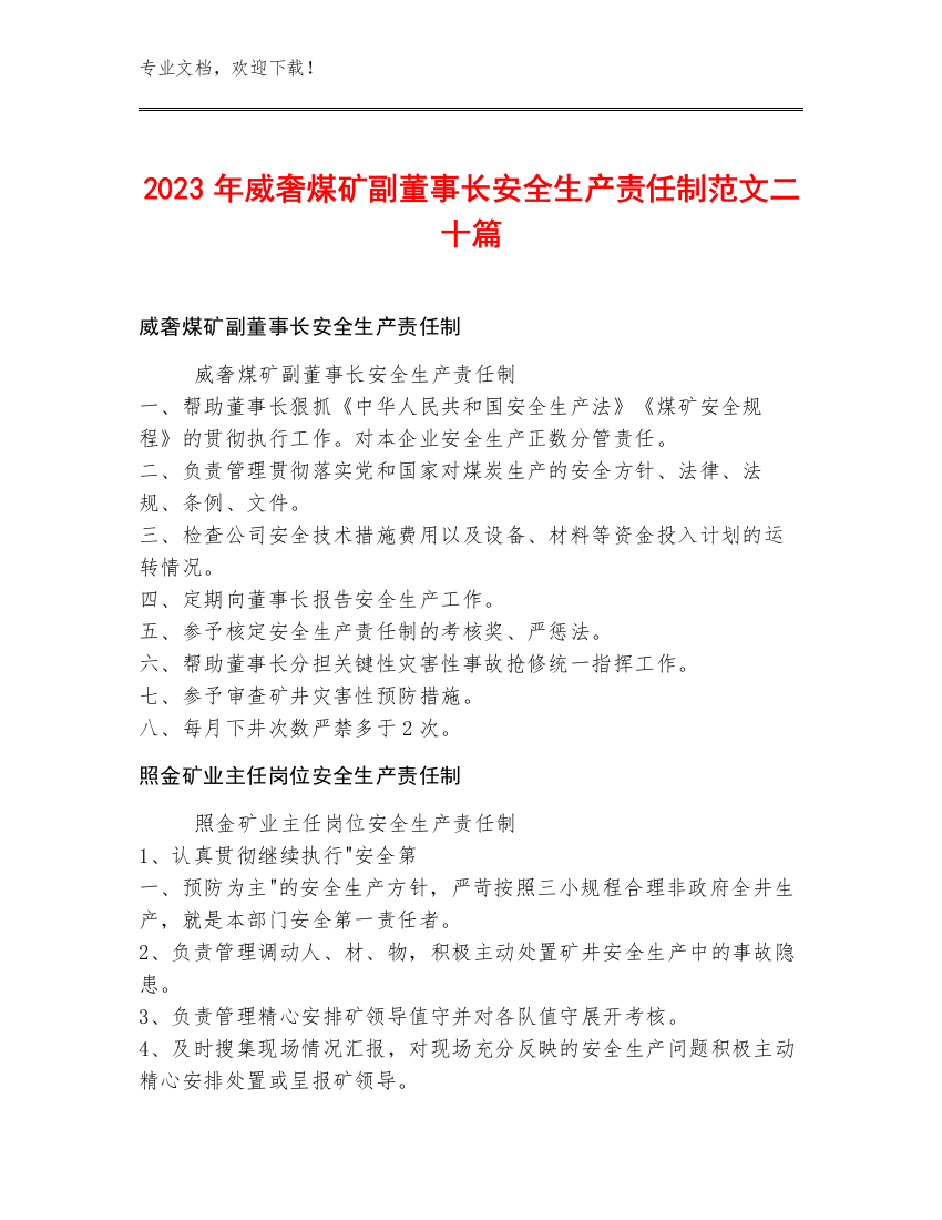 2023年威奢煤矿副董事长安全生产责任制范文二十篇