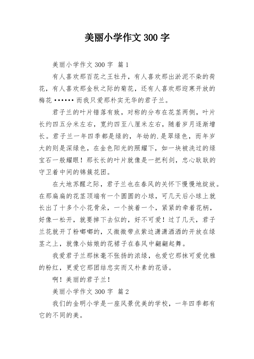 美丽小学作文300字_2