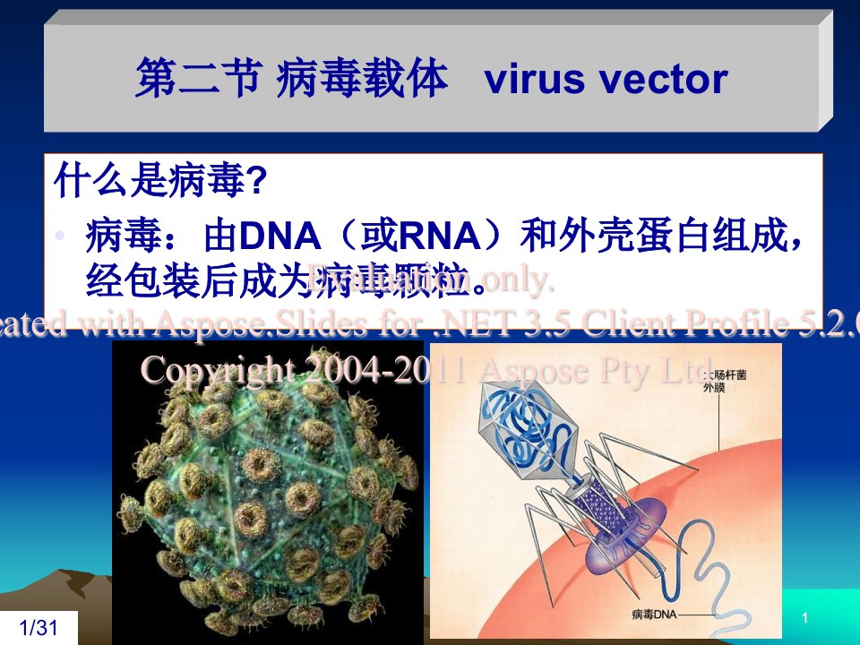 基因工程第三章克隆载体-2