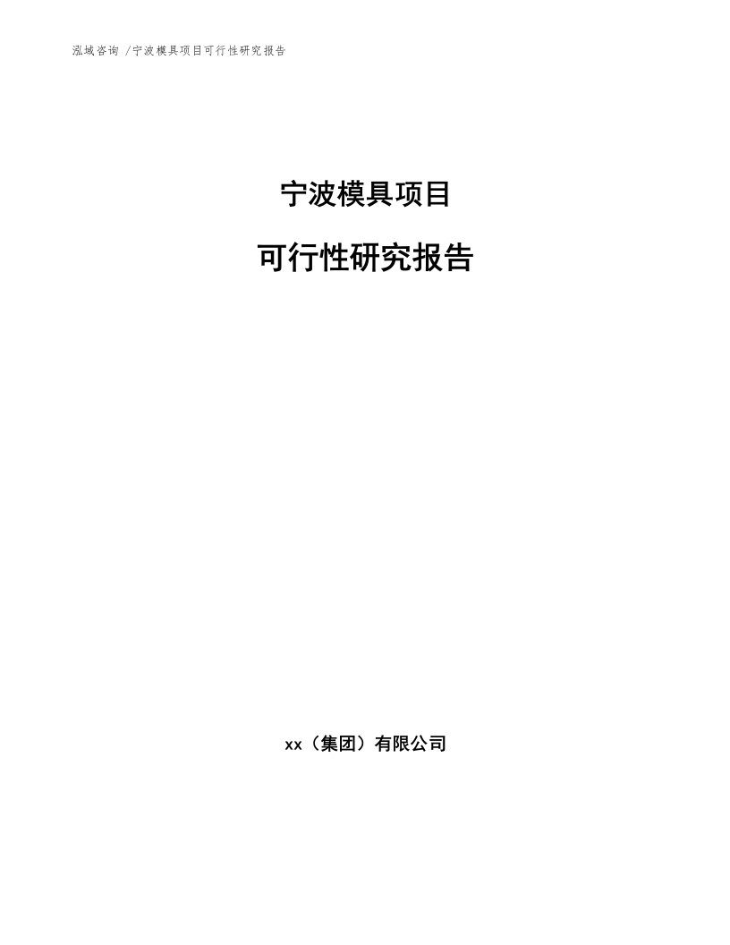 宁波模具项目可行性研究报告参考模板