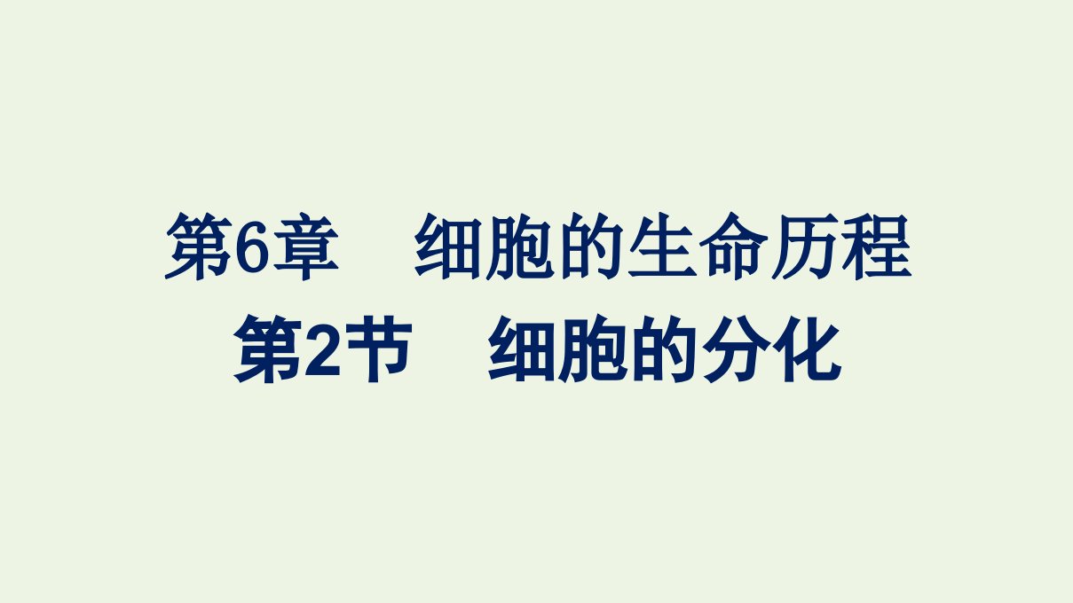 2021_2022学年新教材高中生物第6章细胞的生命历程第2节细胞的分化课件新人教版必修1