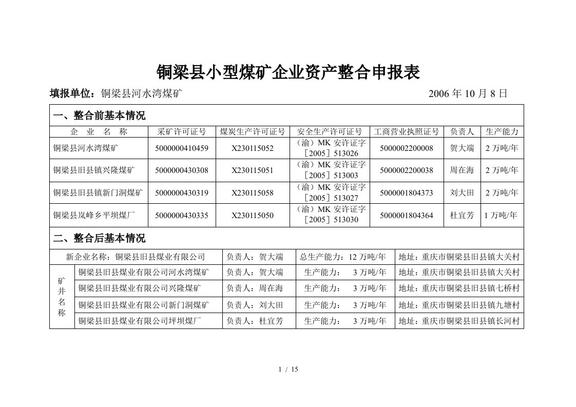 煤矿企业资产整合申报表