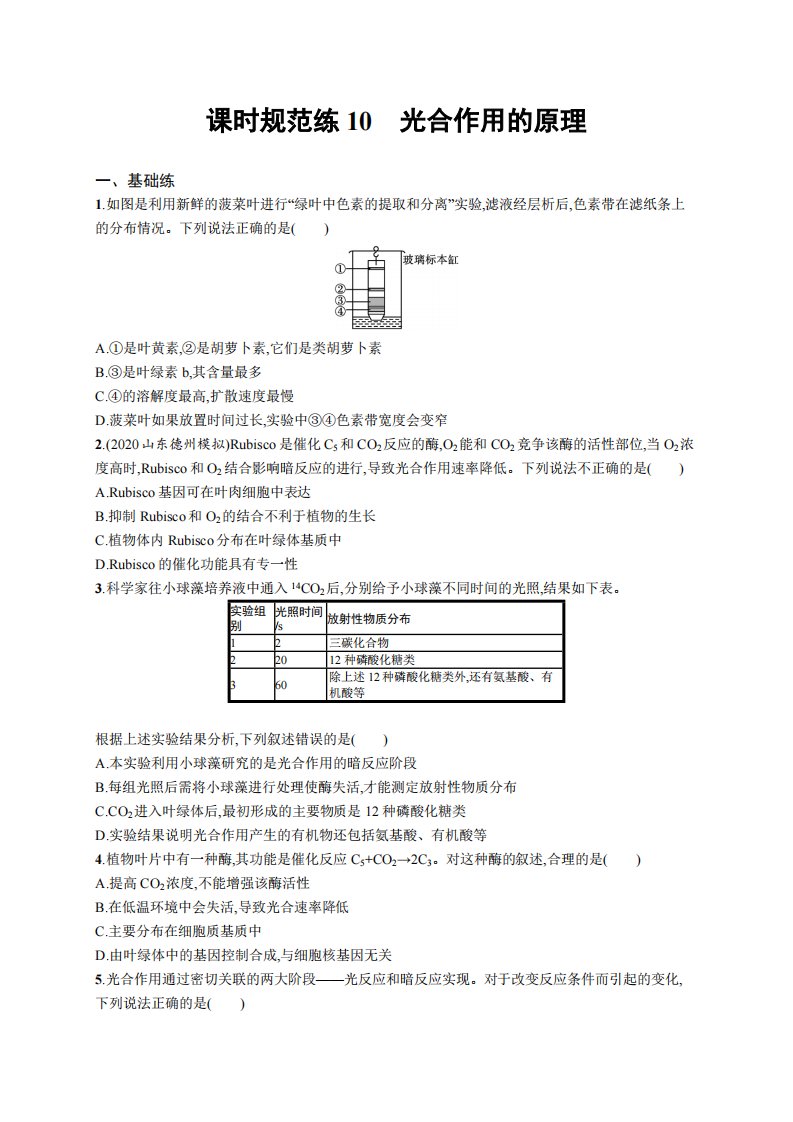 课时规范练10　光合作用的原理