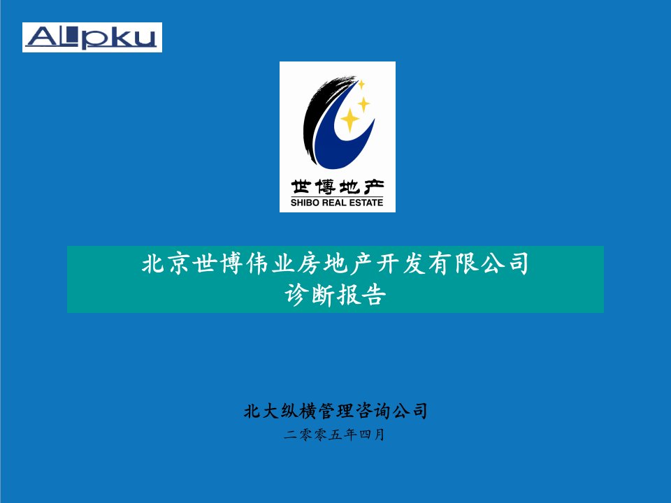 企业诊断-北大纵横—北京世博伟业房地产世博伟业诊断合集0422－林卫民