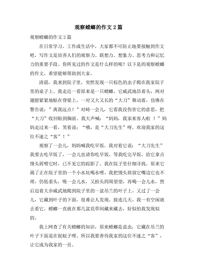 观察螳螂的作文2篇