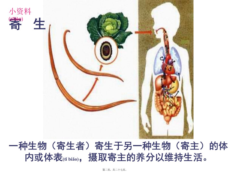 医学专题肠道寄生虫病