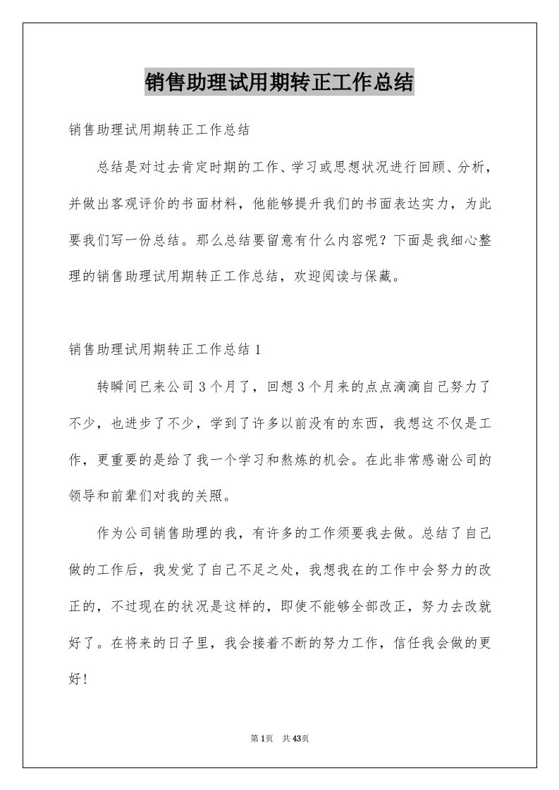 销售助理试用期转正工作总结例文4