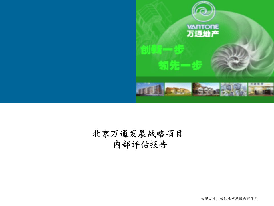 334北京万通发展战略项目内部评估报告