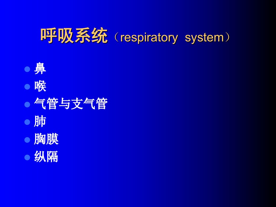 呼吸系统respiratorysystem