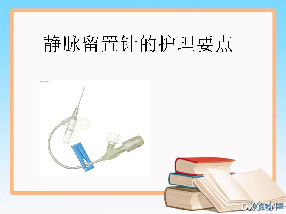 静脉留置针的护理要点