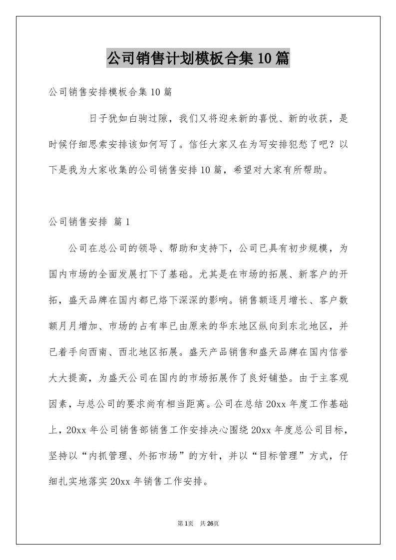 公司销售计划模板合集10篇范本