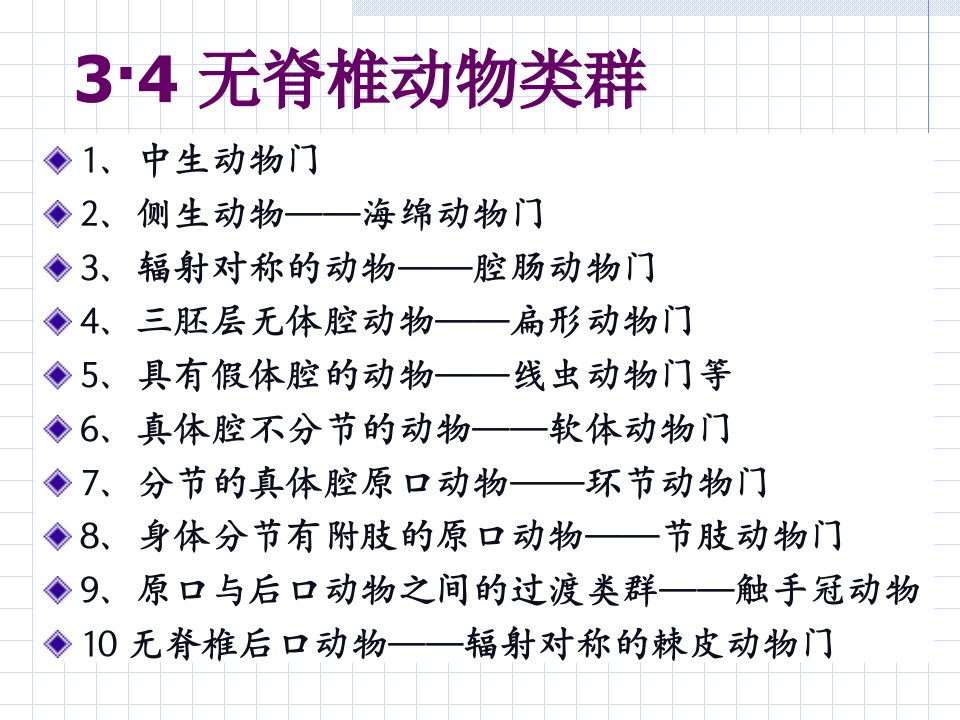 动物生物学一海绵动物