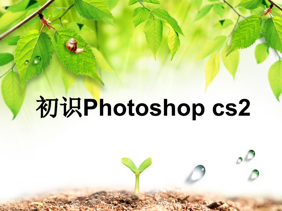 《第一课　初识Photoshop　CS2课件》初中信息技术豫科版八年级下册