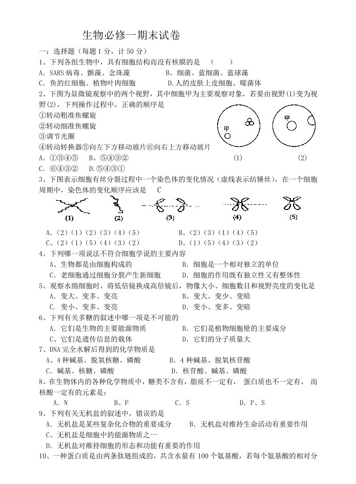 高中必修一期末模拟考试