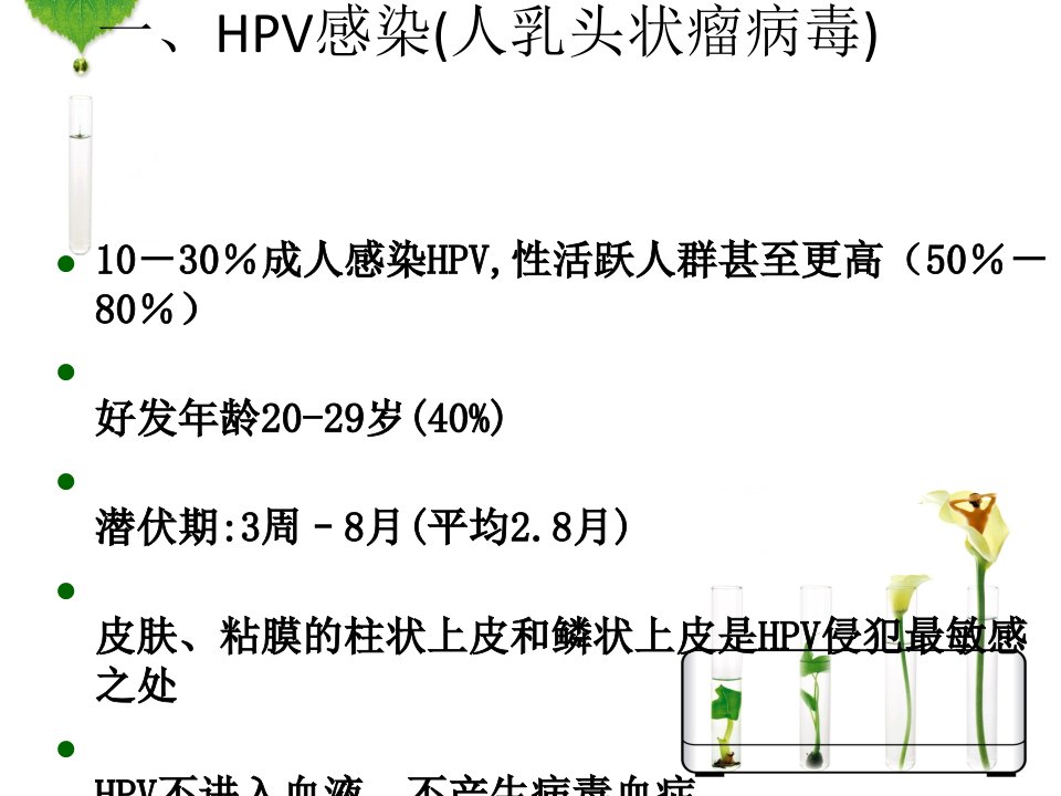 HPV感染与宫颈癌宣传课件