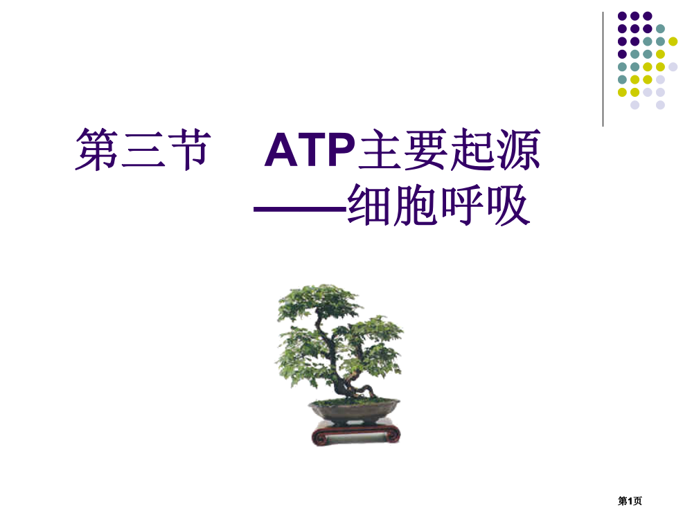 人教版教学云南省弥勒县庆来中学学年高一生物atp的主要来源公开课一等奖优质课大赛微课获奖课件