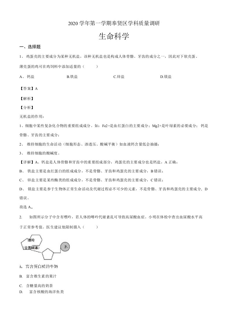 2021届上海市奉贤区高三一模生物试题（解析版）