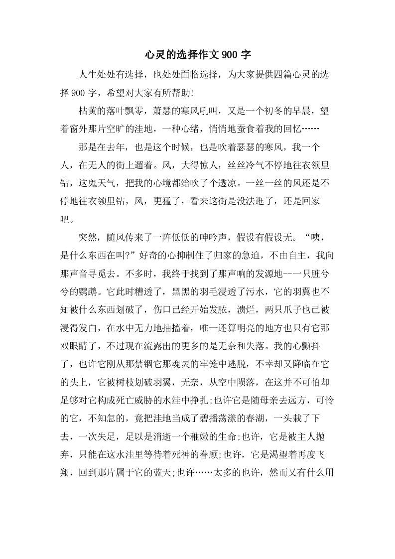 心灵的选择作文900字