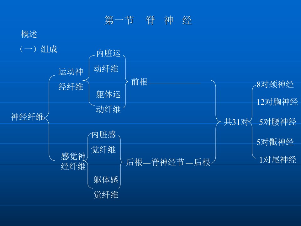 周围神经系统篇