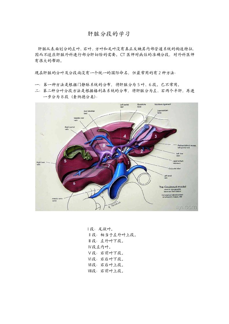 肝脏分段学习