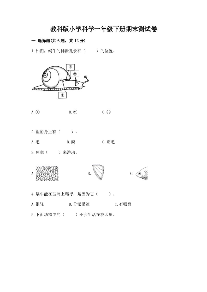 教科版小学科学一年级下册期末测试卷精品【历年真题】