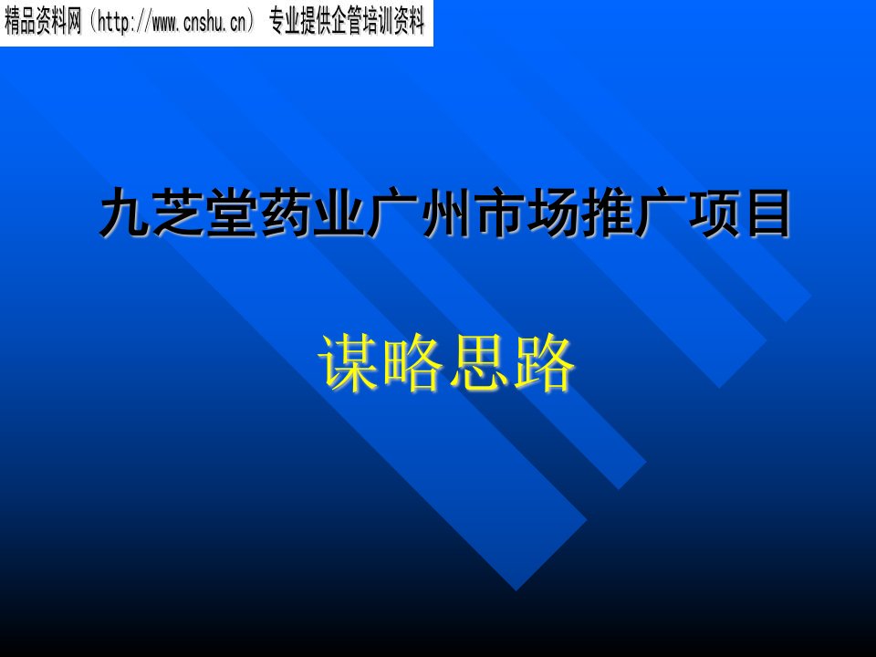 九芝堂药业广州市场推广项目谋略思路