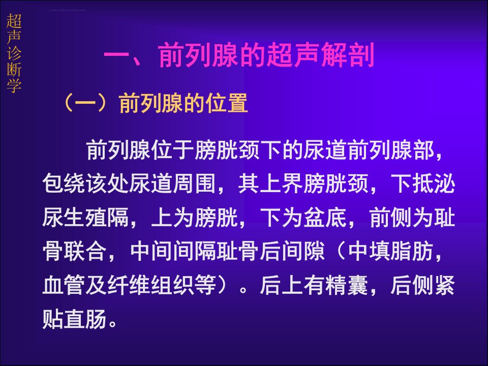 前列腺的超声诊断学ppt课件