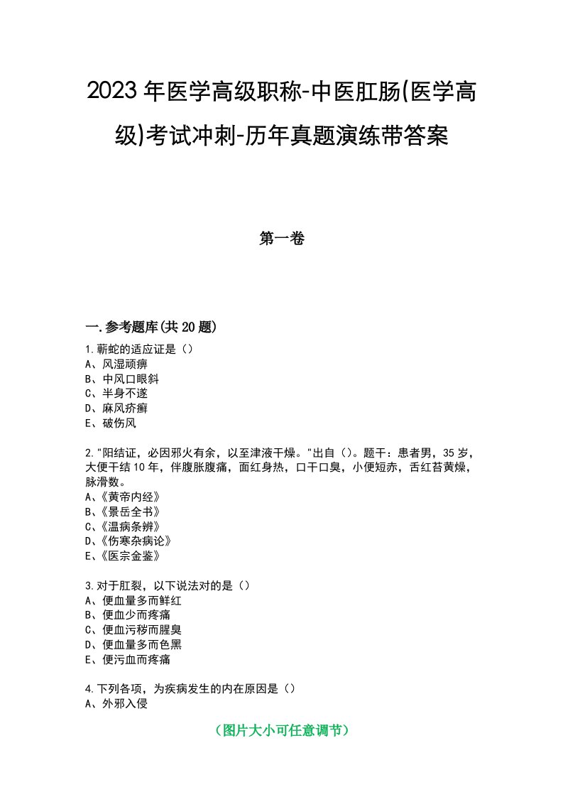 2023年医学高级职称-中医肛肠(医学高级)考试冲刺-历年真题演练带答案