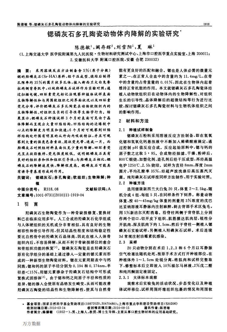 锶磷灰石多孔陶瓷动物体内降解的实验研究