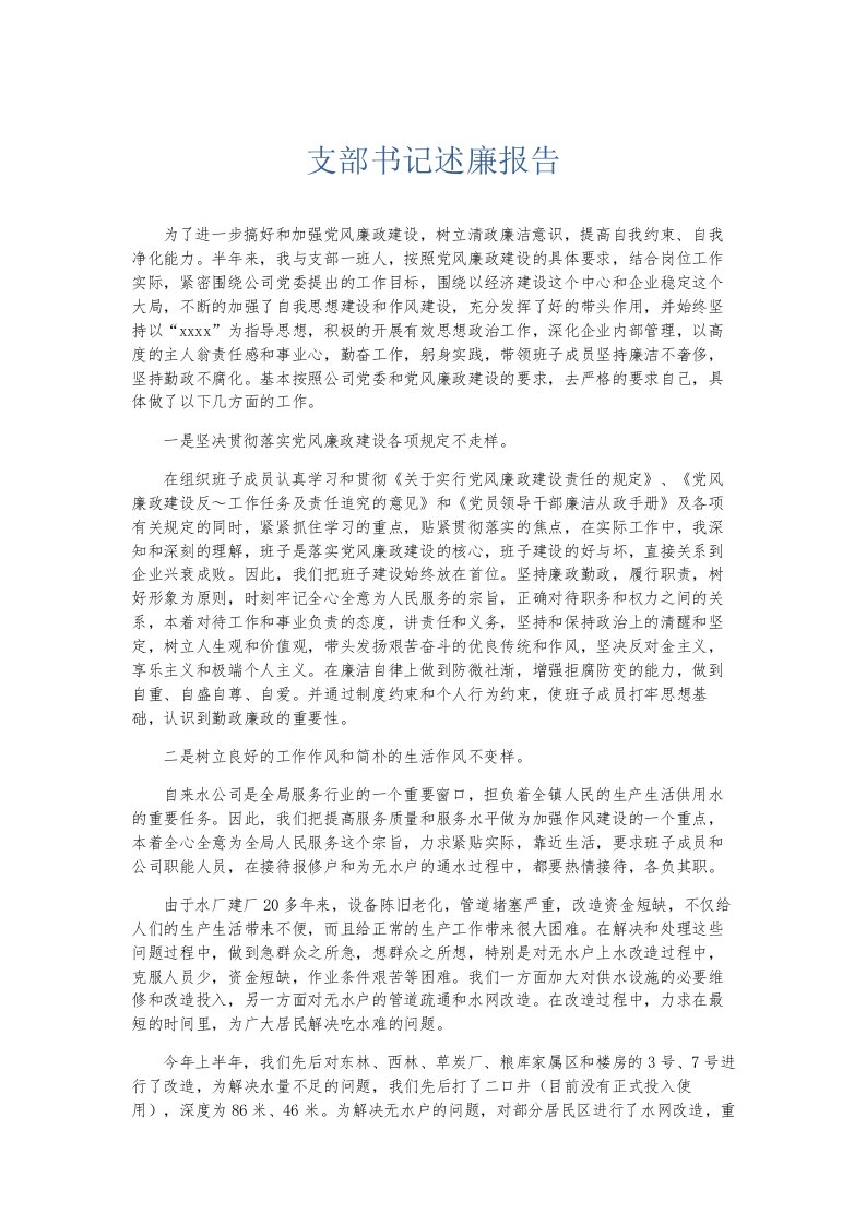 总结报告支部书记述廉报告