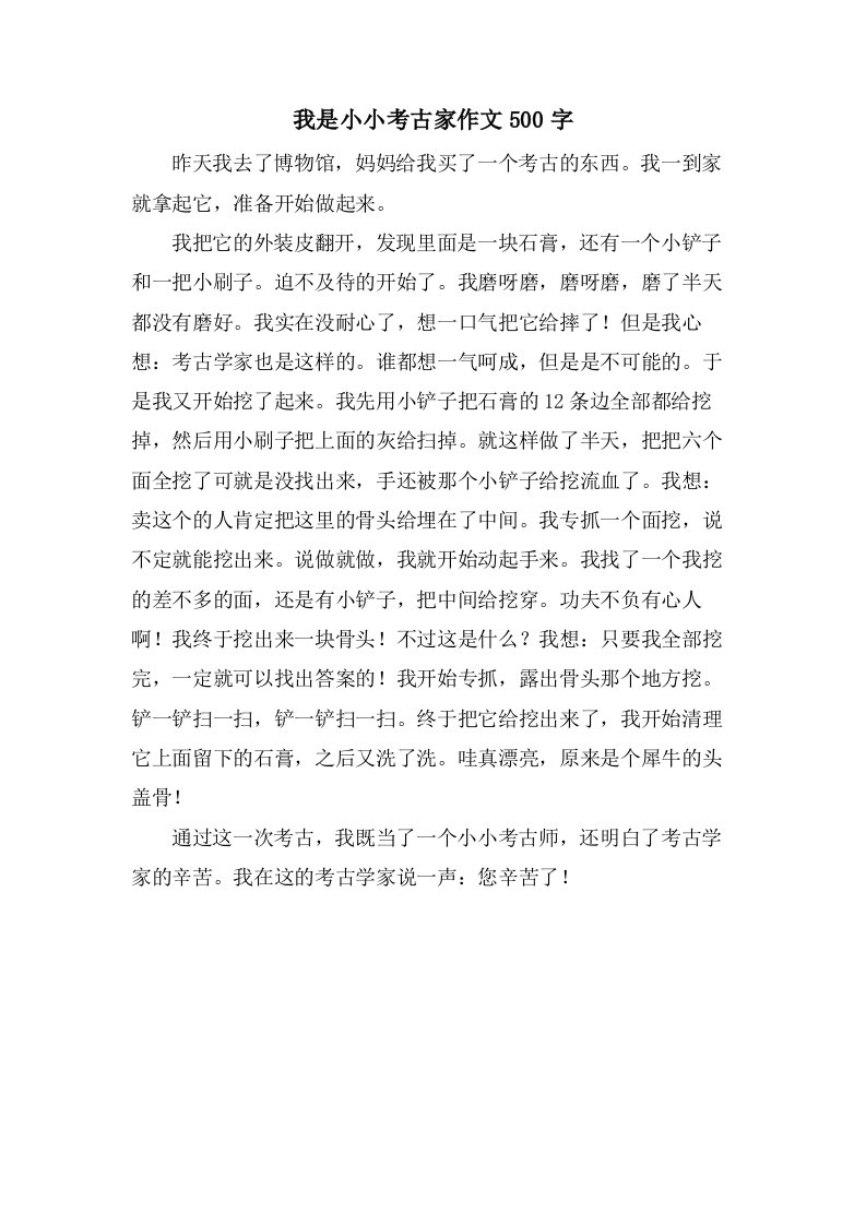 我是小小考古家作文500字