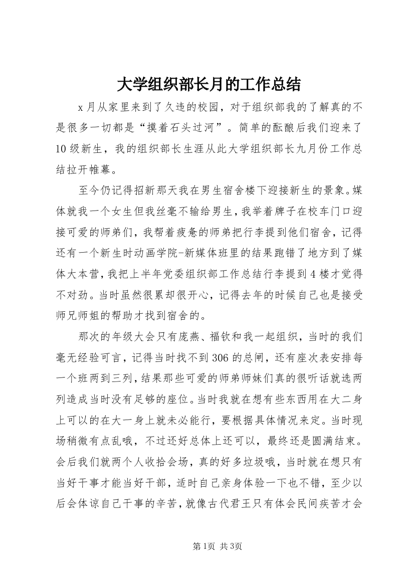 大学组织部长月的工作总结